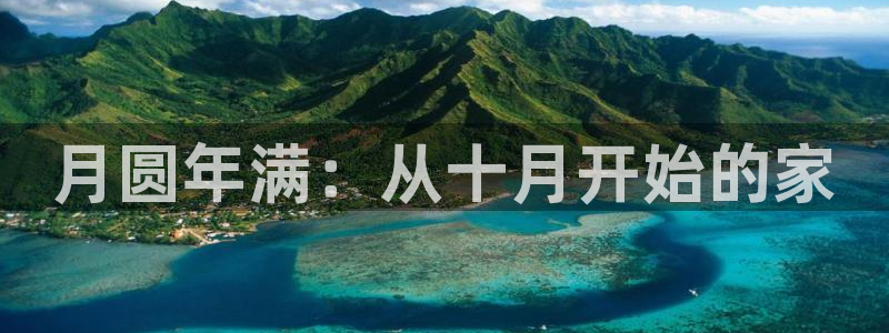 NG体育管理集团怎么样